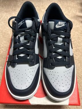 Nike women’s Low-Top Sneakers in Navy and Light Gray